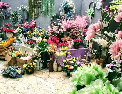 Kwiaciarnia Elflora Bydgoszcz